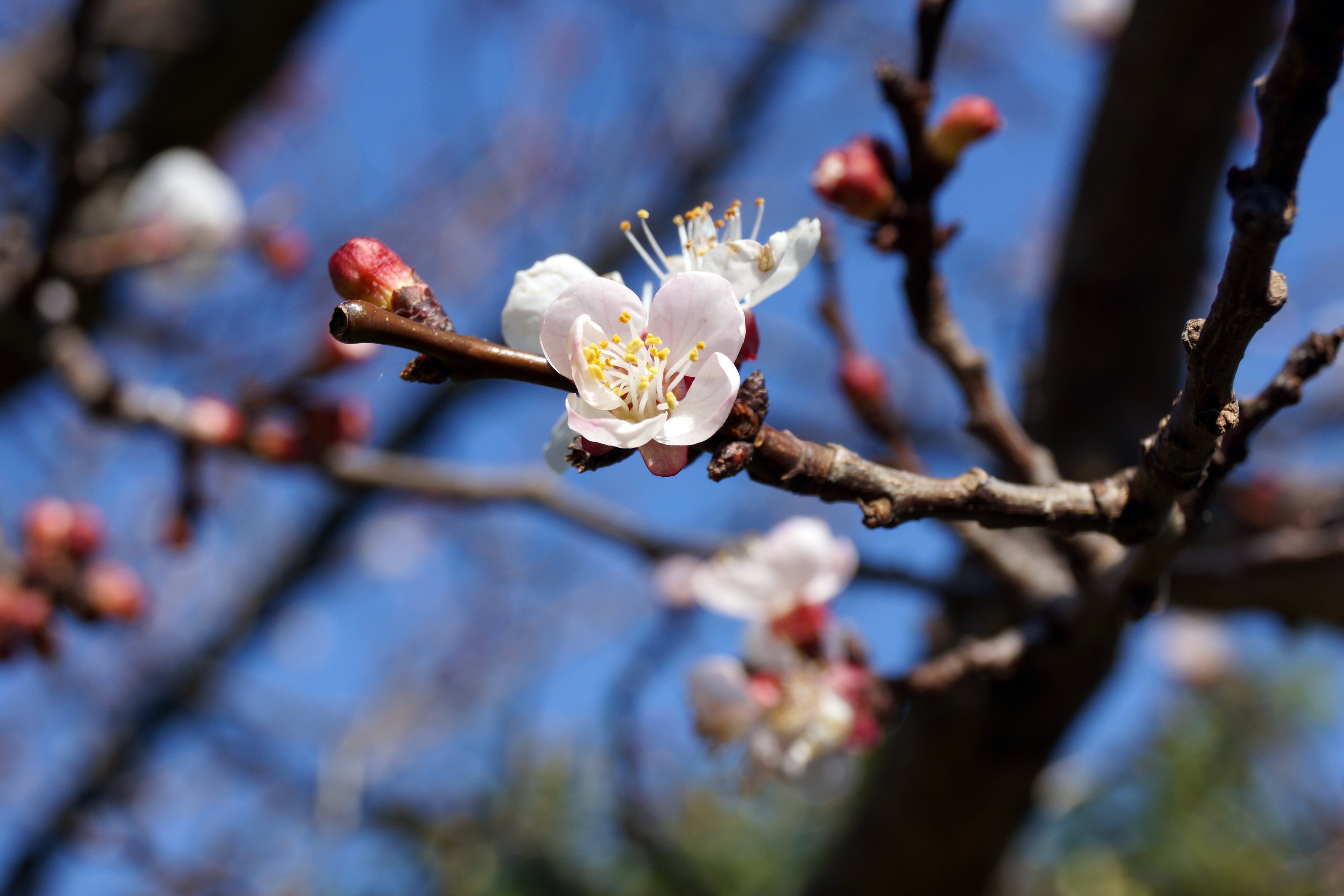 What Does The Spring Equinox Mean PeopleHype