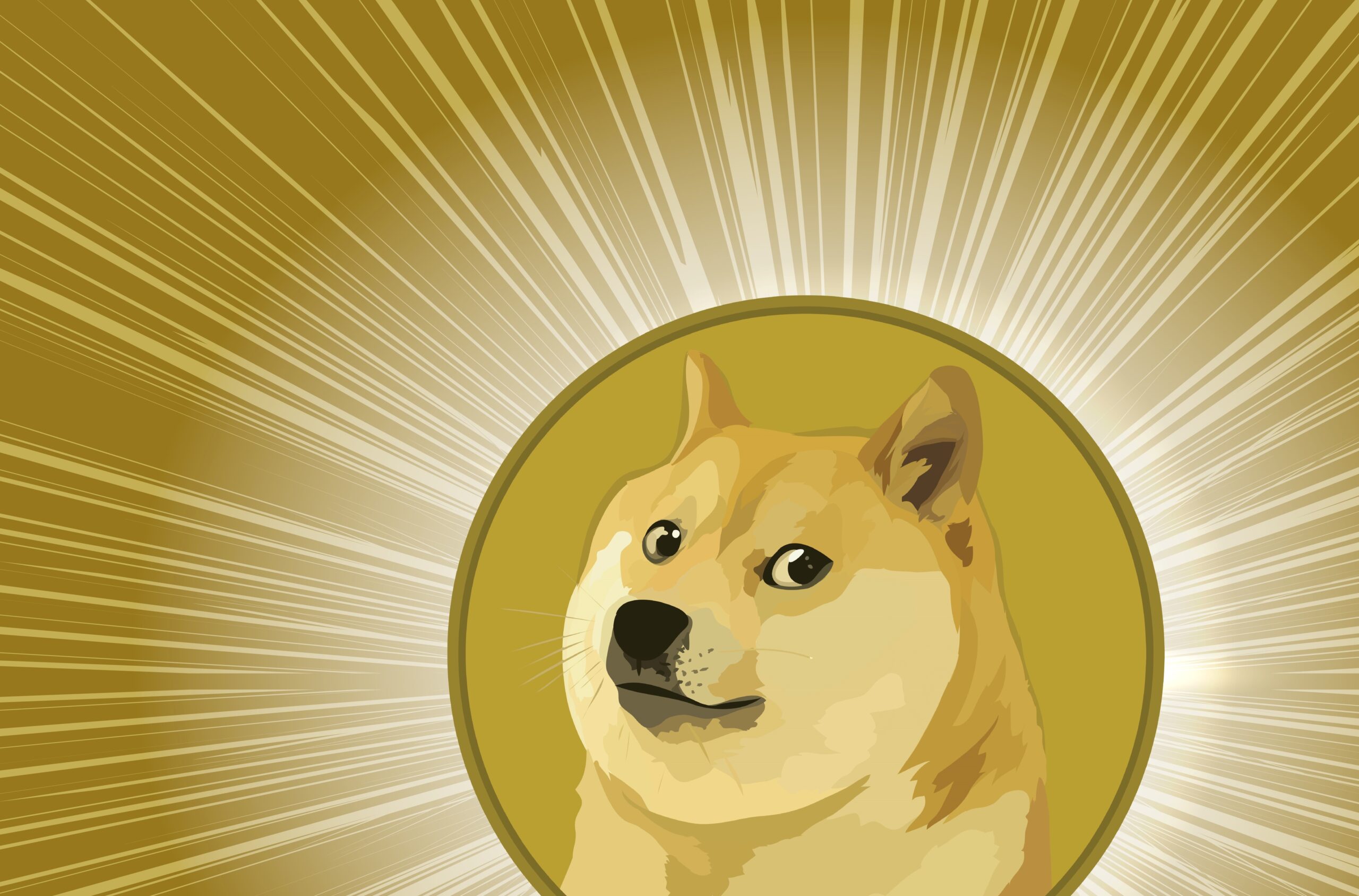 Why Was the Doge Meme the Twitter Logo Last Week? | PeopleHype